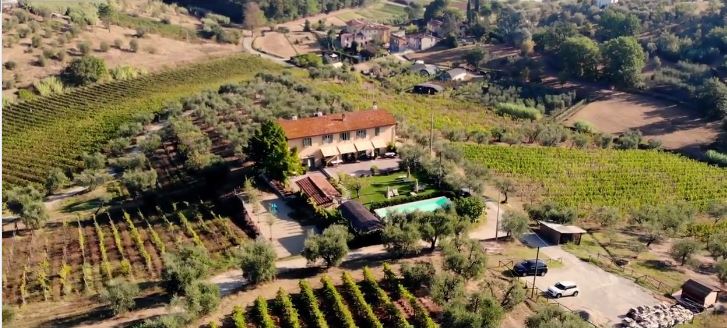 Video: la giovane gamma di vini di vannucci Piante