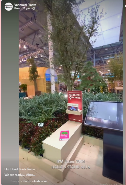 Vannucci Piante IPM Essen 2024 - click for REELS...